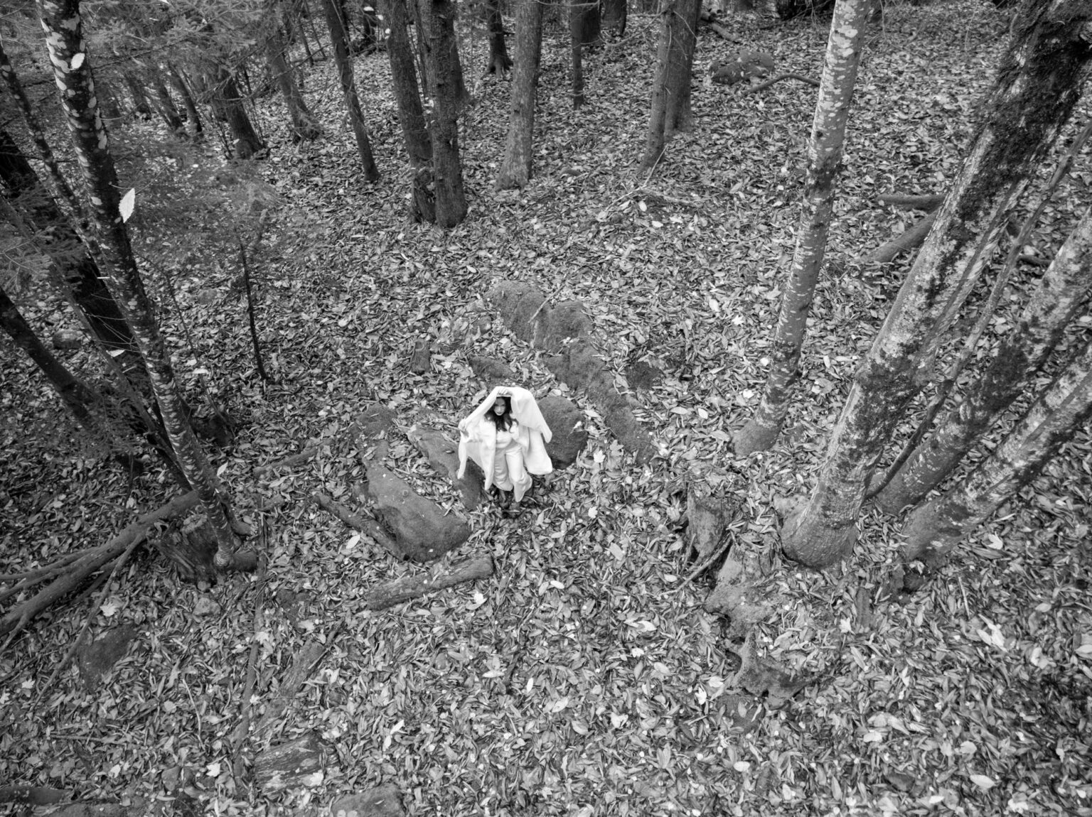 mariée automne foret avec voile vue en drone