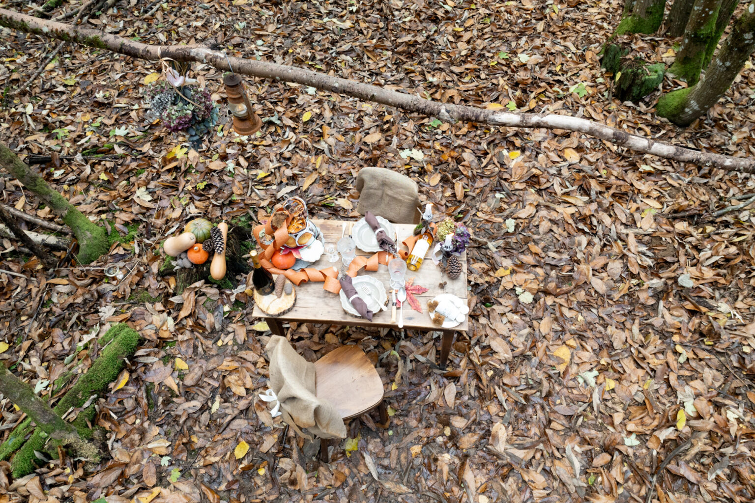 mariée automne foret table vue en drone