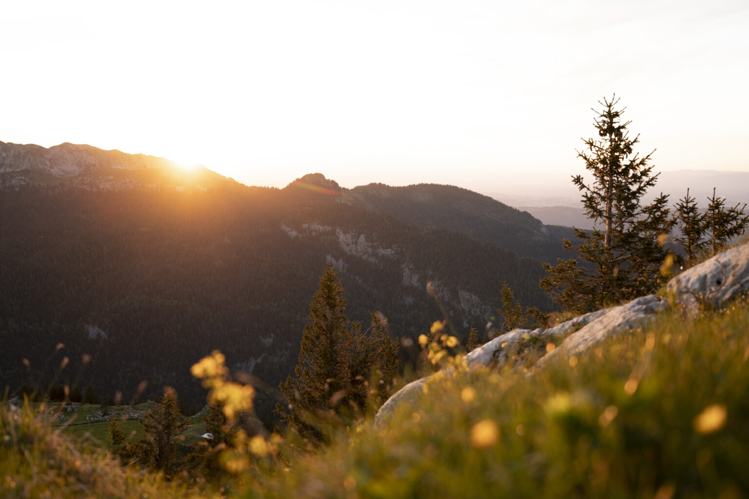 engagement chartreuse savoie montagnes coucher de soleil