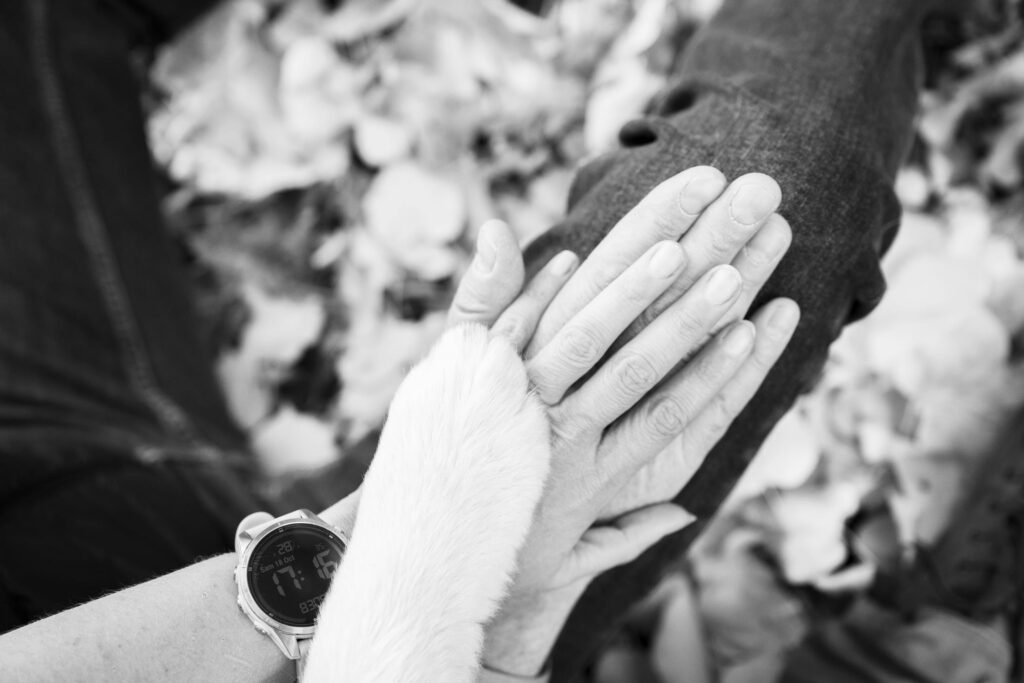 seance couple tours montmayer