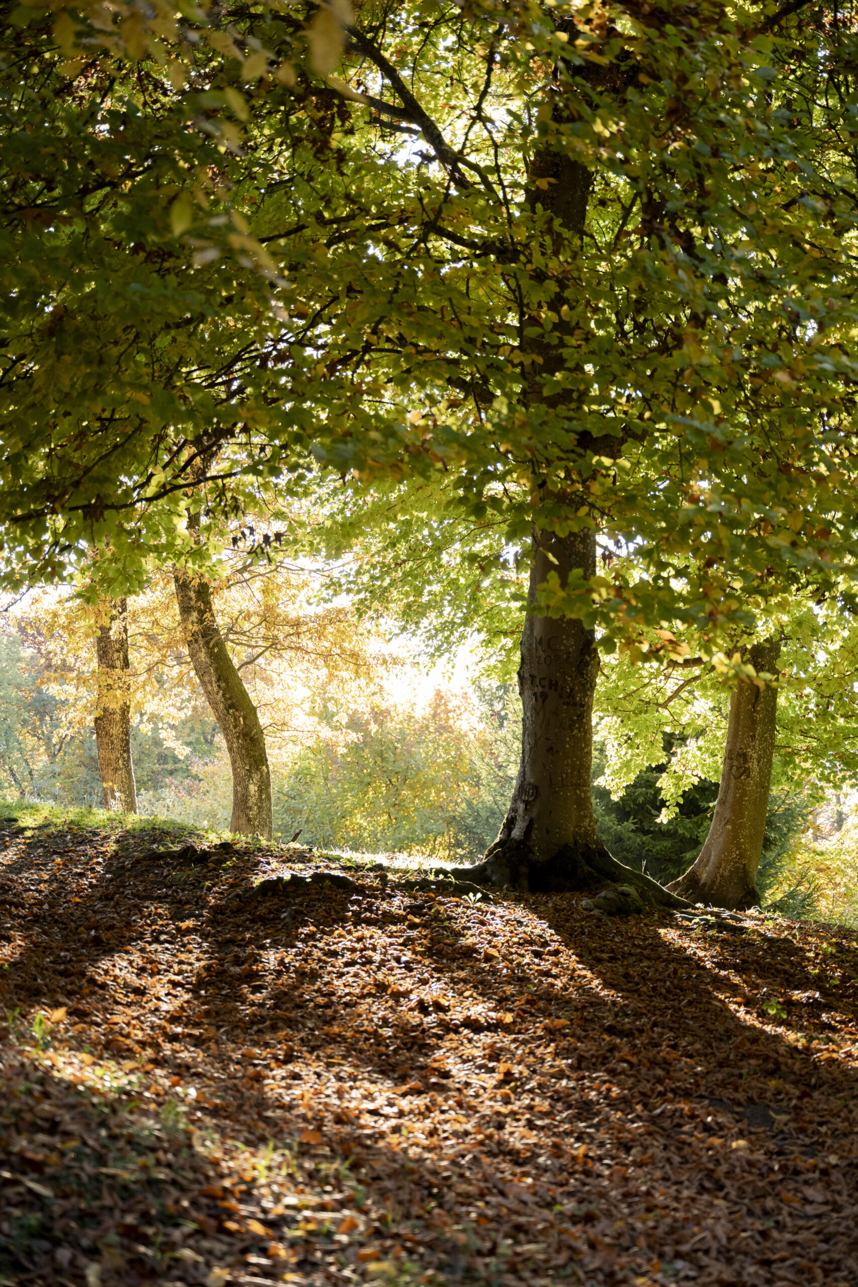 seance couple tours montmayer