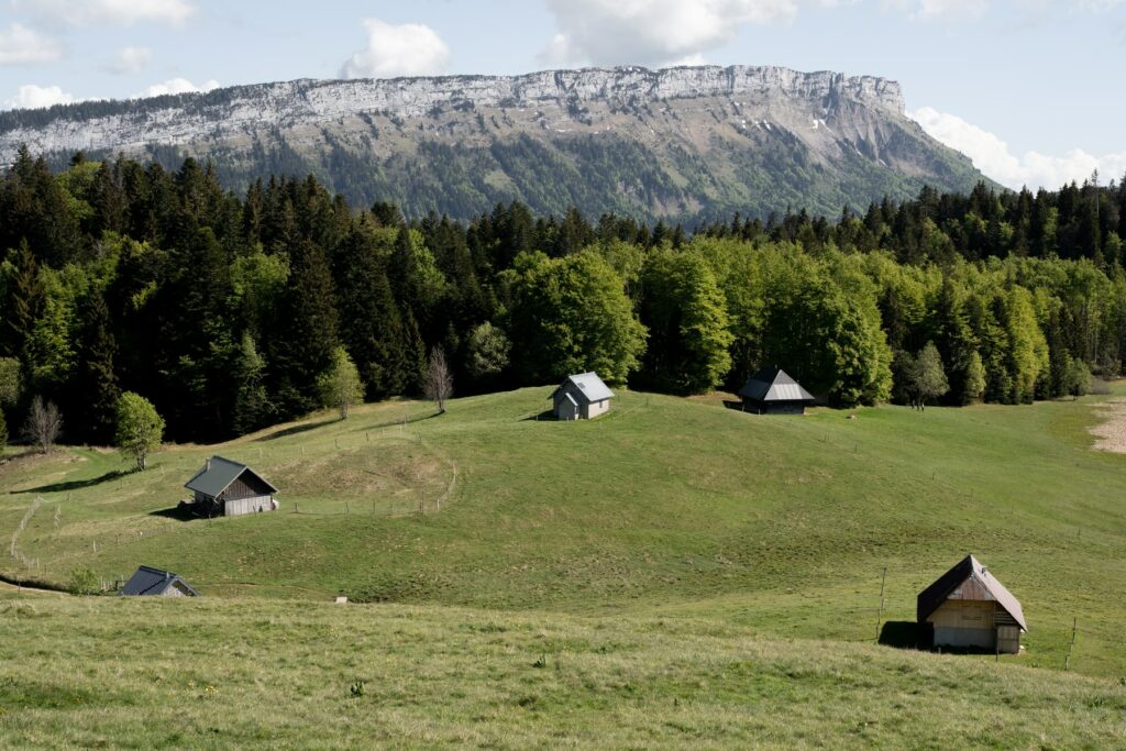chalets alpage bauges