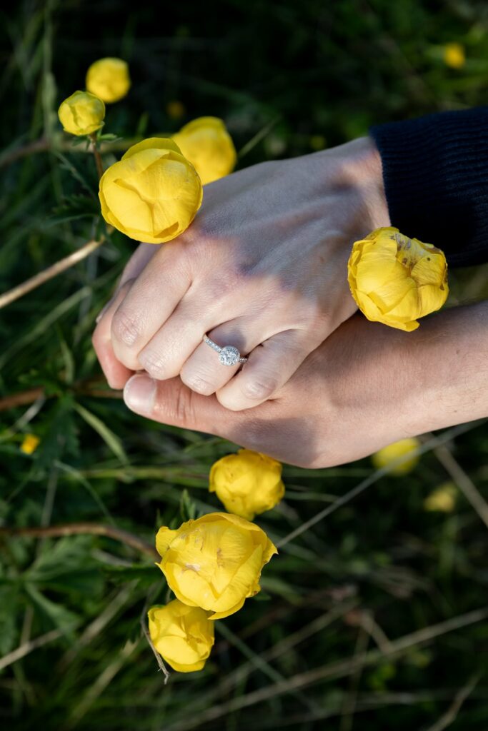 bague fiançailles fleurs montagne