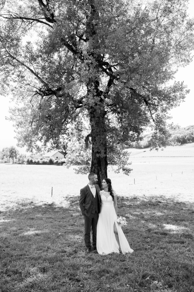 mariés montagne arbre